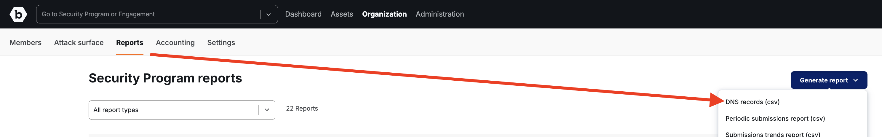 Generate DNS Records Report