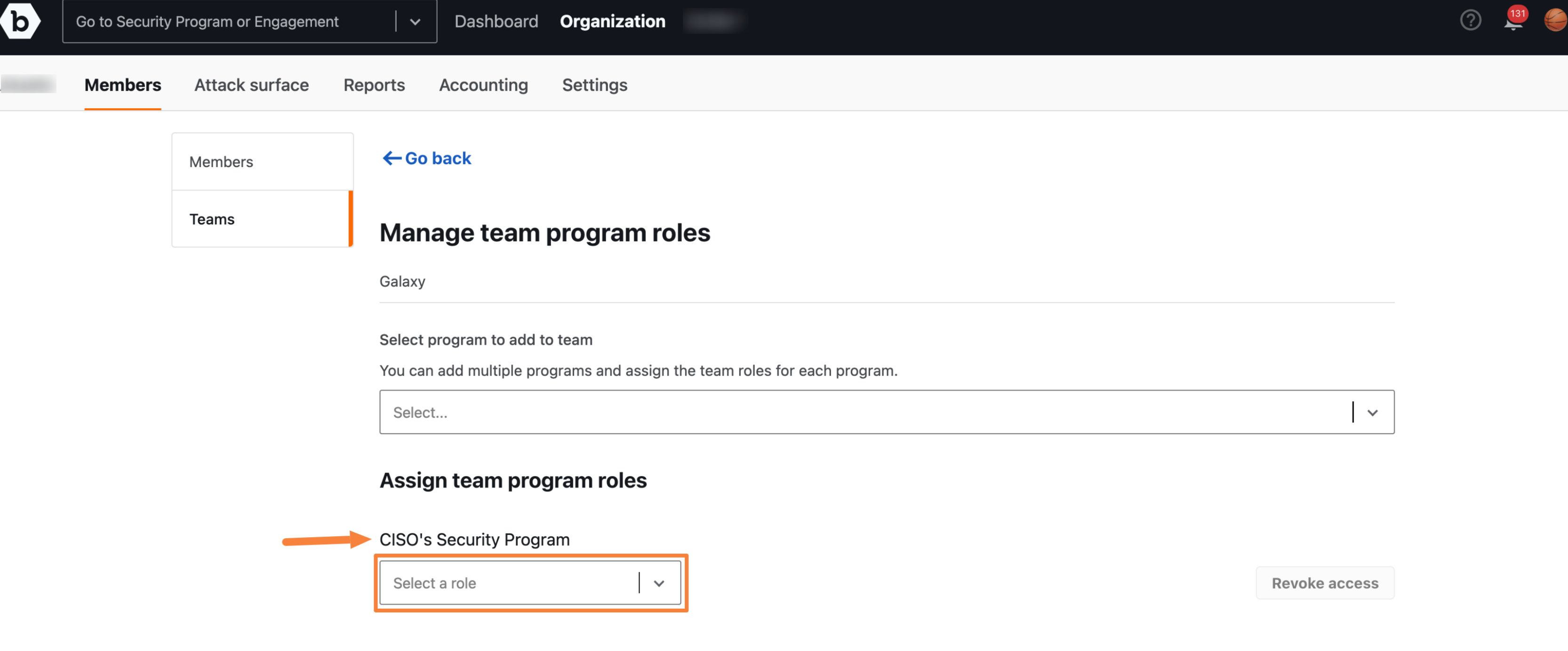 assign-team-program-roles